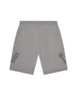 Szorty Trapstar Trapstar Arch Chenille Decoded 2.0  – Szare - obrazek 2