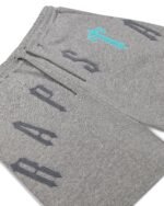 Szorty Trapstar Trapstar Arch Chenille Decoded 2.0  – Szare - obrazek 3